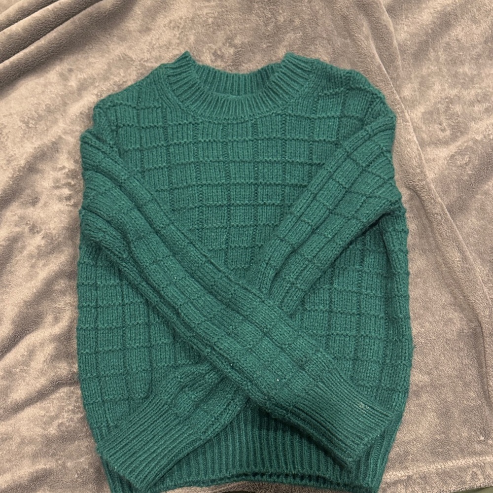 American Eagle Outfitters Green Crew Neck Sweater